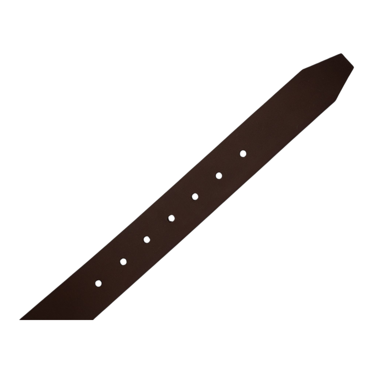 34 mm Essential Belt